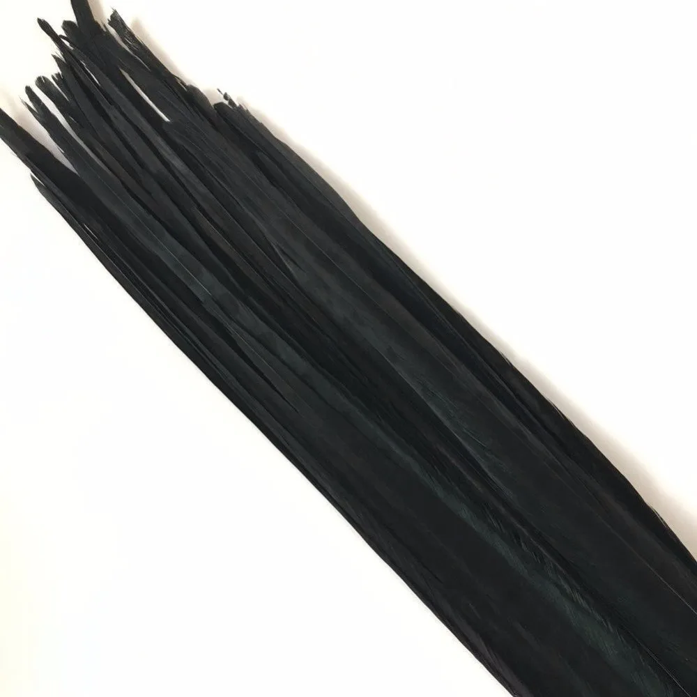 61bxbg97FFL._SL1001_