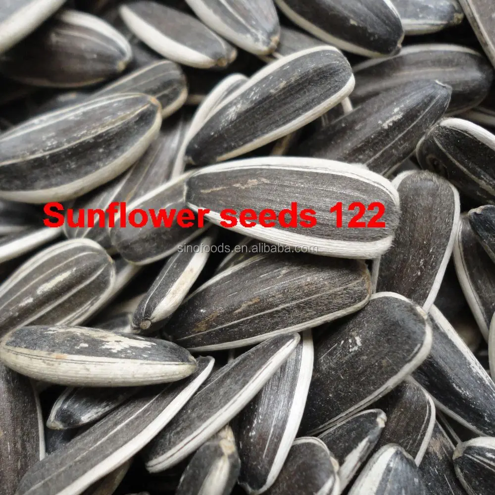 Wholesale Black Oil Sunflower Seeds Buy Wholesale Black Oil Sunflower