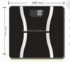 The latest model app bluetooth scale bluetooth body fat scale