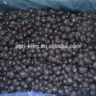 Blueberry Fresh and Frozen IQF