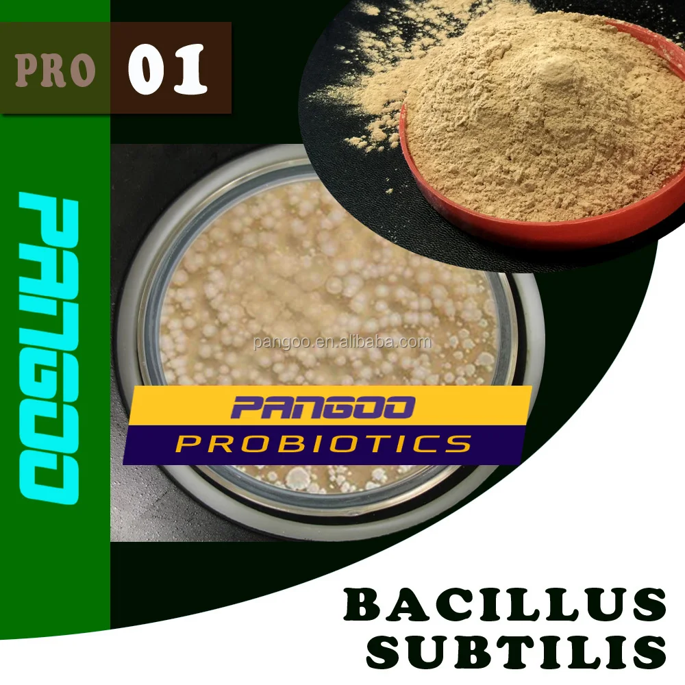 bacillus capsule