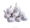 /product-detail/world-best-selling-wholesale-garlic-importers-60466690302.html