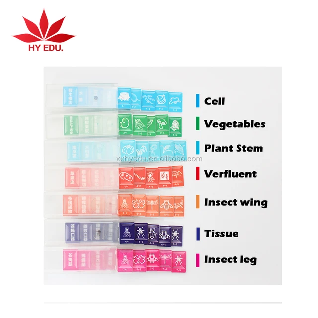 35 different specimens microscope prepared slides for children