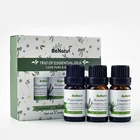 Skin Massage or Hair Care 10ml each Peppermint, Rosemary, Lemongrass Aroma Oil gift set Kit