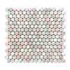 Soulscrafts Naturyal Stone Marble Penny Round Pink Mosaic Tiles