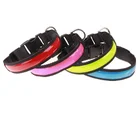 pet accessories dogs,Led Collar for dogs, USB Rechargeable Led Dog Collar