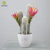 /product-detail/mini-indoor-flowering-christmas-artificial-cactus-plant-office-desk-decoration-cactus-60817137859.html