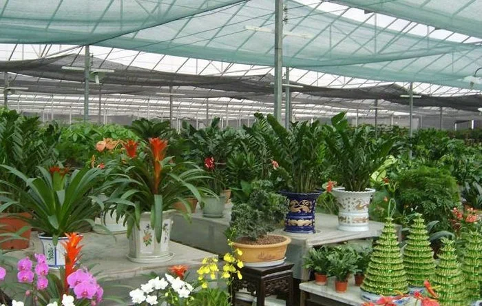 T2YpSnXldbXXXXXXXX_!!1648655741