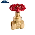 1/2-6 inch 232PSI BSP or NPT Forged brass water gate valve
