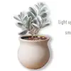 3" inch ball shape pots small china supplier new premium custom wholesale cute succulent flower mini ceramic planter pot