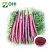 /product-detail/natural-black-carrot-extract-black-carrot-powder-color-60679694157.html