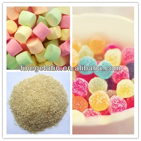 Food Gelatin Powder Bovine Bone Food