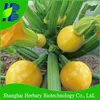 /product-detail/high-quality-organic-vegetable-seeds-round-zucchini-seeds-60120043996.html