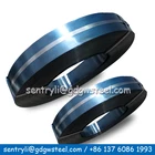 metal clips high carbon cold rolled hardened and tempered rolling shutter spring steel strip