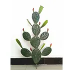 Hot selling artificial cactus plant, home decoration cactus