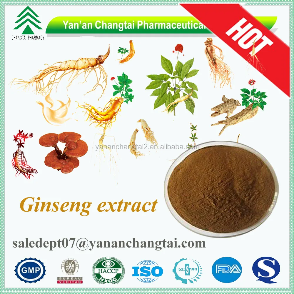 gmp certificate high quality 100% natural panax ginseng 20%