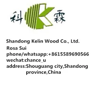 28mm plywood to Europe Middle East market