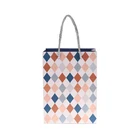 china supplier custom design white craft paper bag