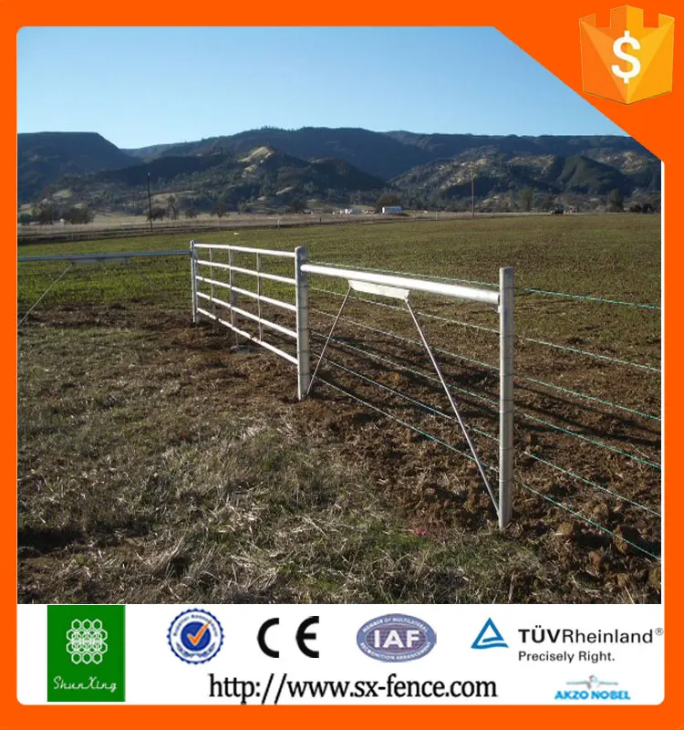 cheap cattle panels