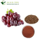 100% Natural 95% Proanthocyanidin Grape Seed Extract