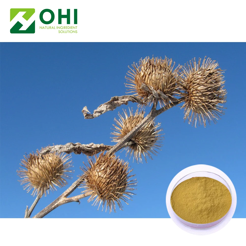 burdock seed extract