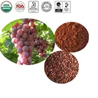 100% High Purity OPC 95% Grape Seed Extract Vitis vinifera P.E