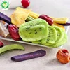/product-detail/wholesale-chinese-health-bulk-crispy-snacks-foods-vacuum-fried-vegetable-fruit-chips-in-import-60548144245.html