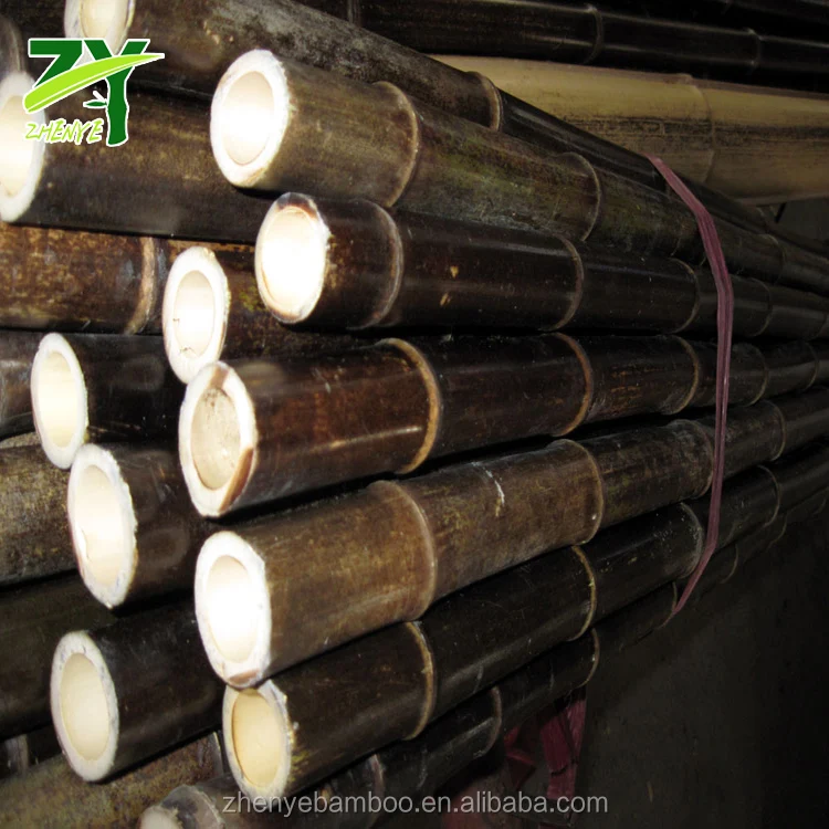 ZY-1006 Natural Black Poles4.jpg