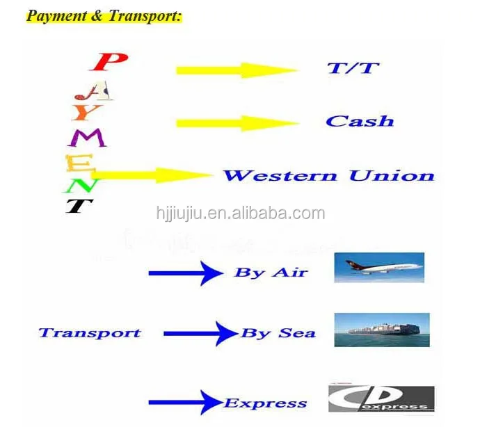 Payment and Transport.jpg