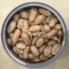 Roasted salted peanuts / fried peanuts kernels with spicy chilli