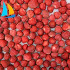 Fresh Frozen Strawberry Fresh Berries Fruits from China
