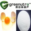/product-detail/hot-sale-egg-egg-white-protein-powder-60546848221.html