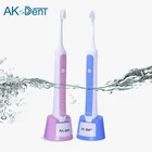 OEM sonic dentitex electric couple toothbrush rechargeable electric toothbrush Couple toothbrush Blue and pink color