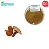 Organic Plant Powder Red Reishi Mushroom Extract