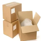 Professional Guangdong International sea Freight Forwarding express shipping agent