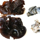 Dried Black Fungus Chinese White Mushroom Slice
