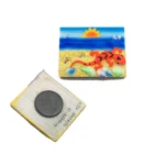 Tourist souvenir lizard printed resin fridge magnet for different countries