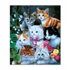 /product-detail/high-quality-3d-lenticular-picture-cute-cats-3d-pictures-of-cats-60313999204.html