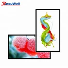 Flexible Transparent Lcd Screen Display Touch Screen 32 Inch