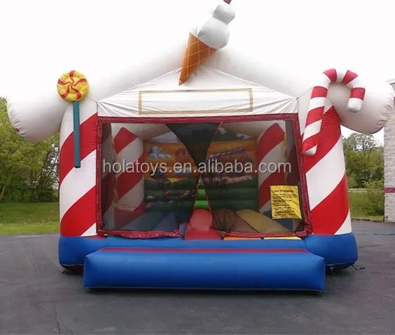 bouncer inflatable.jpg