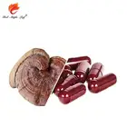 Immune System Red Reishi Supplements Lingzhi Extract oem Capsules