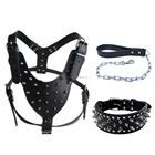 Studded Genuine Leather Dog Harness Collar and Leash Set