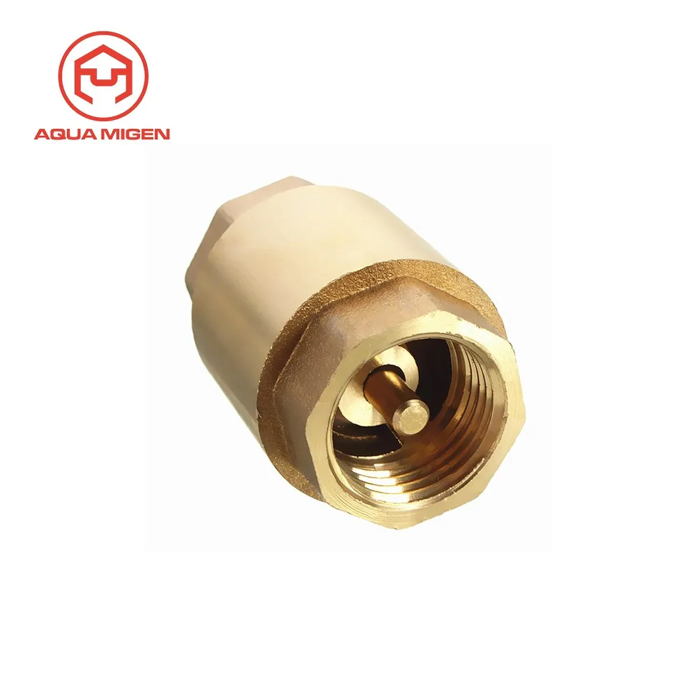 Bsp Female Brass C W Nylon Spring Check Non Return Valve Buy Brass