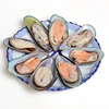 Exporter Cheap Good Price Shellfish frozen half shell mussel meat