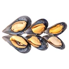 HACCP Frozen Half Shell Mussel HACCP Certificate Seafood Shellfish Frozen Half Shell Mussel
