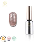Polish Coat Polish No Yellowing Matt Effect Matt Top Coat Clear Gel Nail Polish Bulk