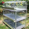 /product-detail/poultry-farm-design-in-day-old-broiler-chicks-broiler-rearing-cage-60451043566.html