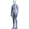 Latest Changeable Face male Mannequin