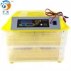 /product-detail/12v-110-220-automatic-mini-solar-112-chicken-egg-incubator-for-sale-60533166099.html
