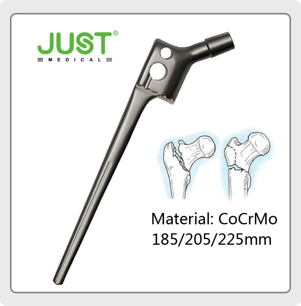 cemented hip prosthesis